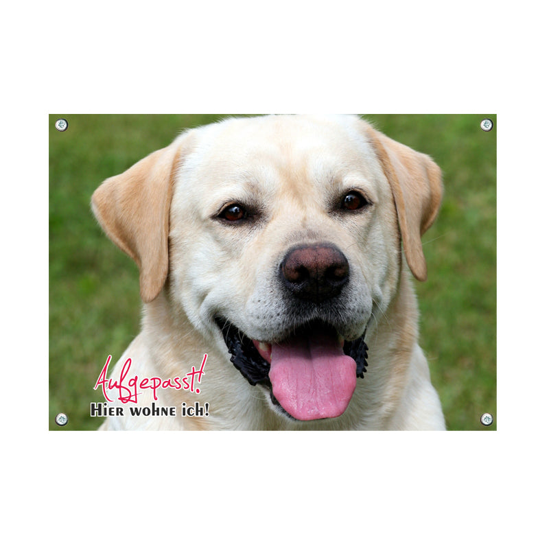 Labrador Retriever - Hier wohne ich