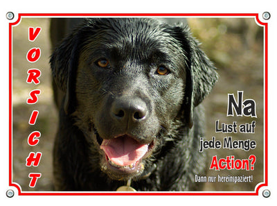 Labrador Retriever - jede Menge Action – Hundeschild aus Aluminium