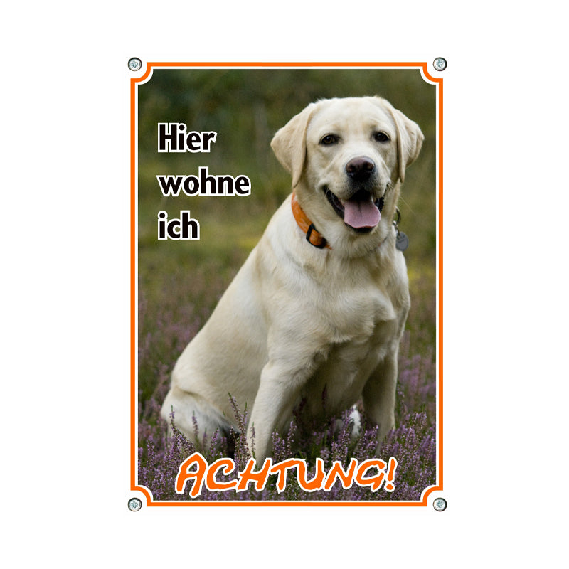 Labrador Retriever - Hier wohne ich
