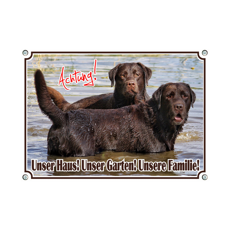 Labrador Retriever - Unsere Familie