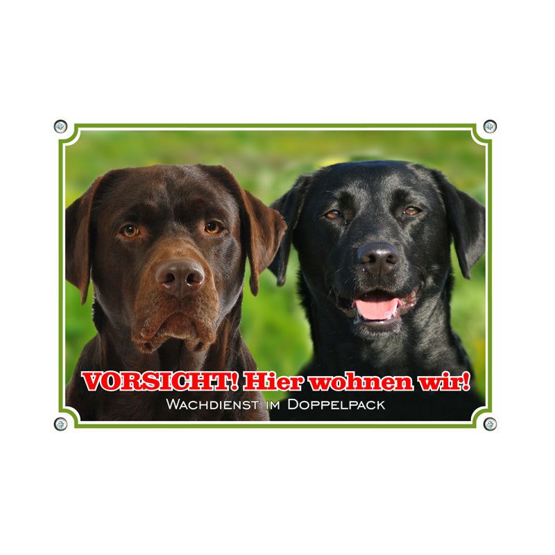 Labrador Retriever - Hier wohnen wir