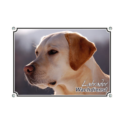 Labrador Retriever - Wachdienst
