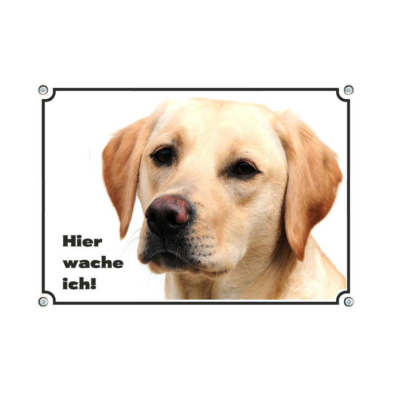 Labrador Retriever - Hier wache ich