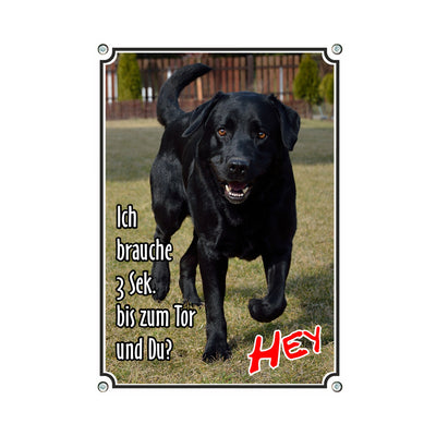 Labrador Retriever - Ich brauche 3 Sek – Hundeschild aus Aluminium
