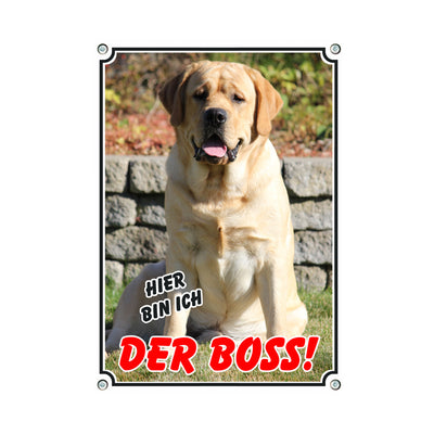 Labrador Retriever - Der Boss – Hundeschild aus Aluminium
