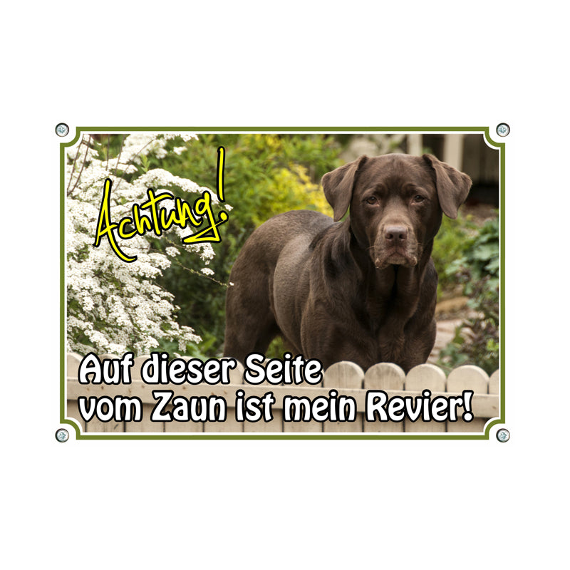 Labrador Retriever - mein Revier