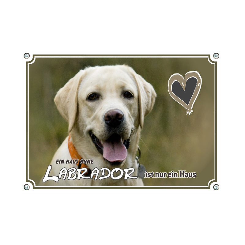 Labrador Retriever - nur ein Haus