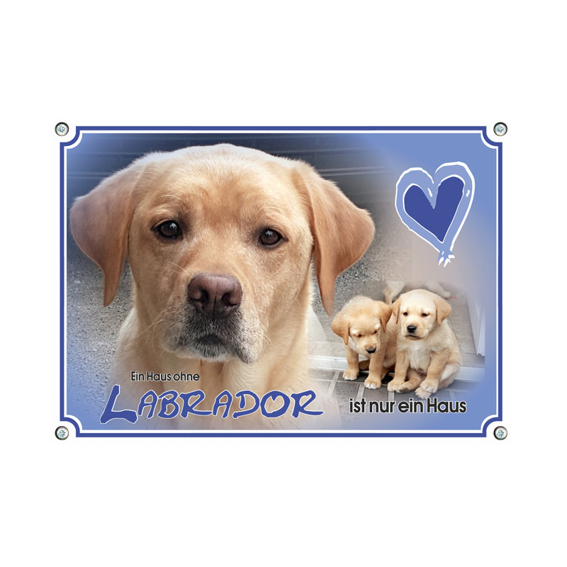 Labrador Retriever - ohne Labrador