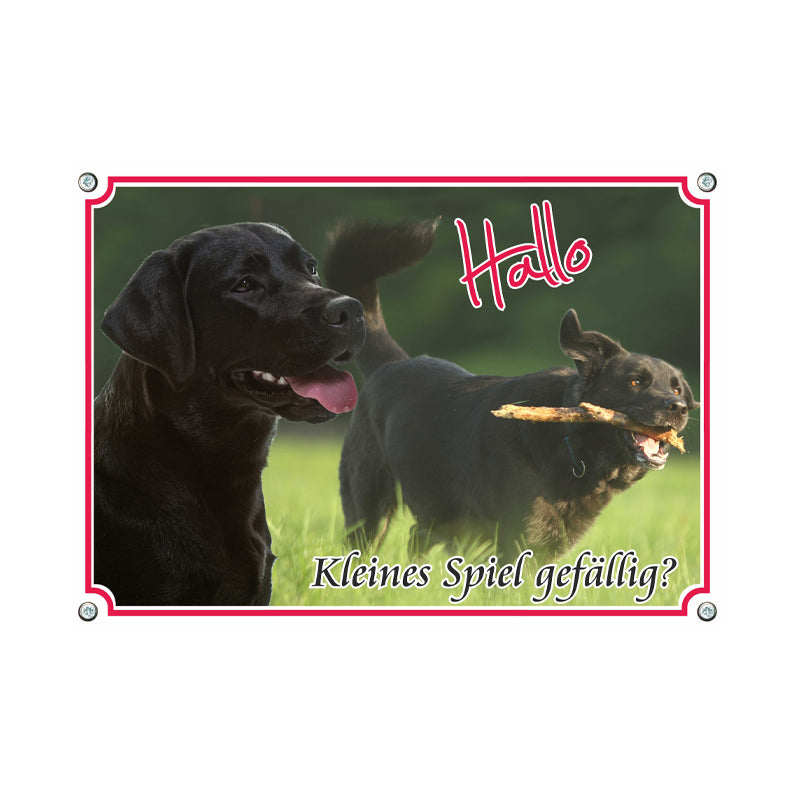 Labrador schwarz - kleines Spiel