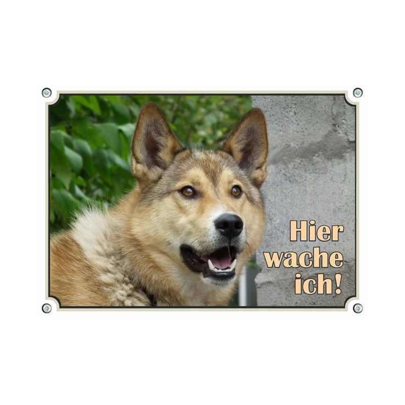 Laika - Hier wache ich