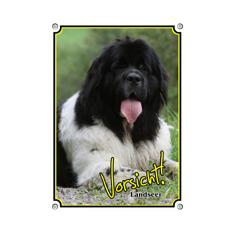 Landseer - Vorsicht