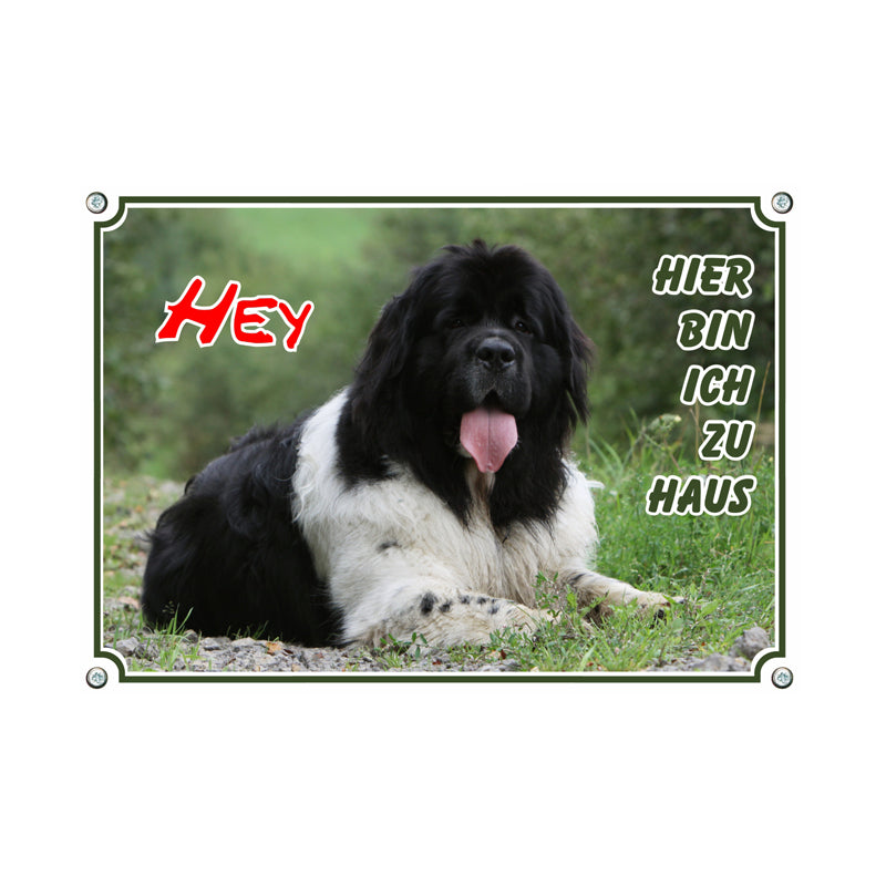 Landseer - Hier bin ich zu Haus