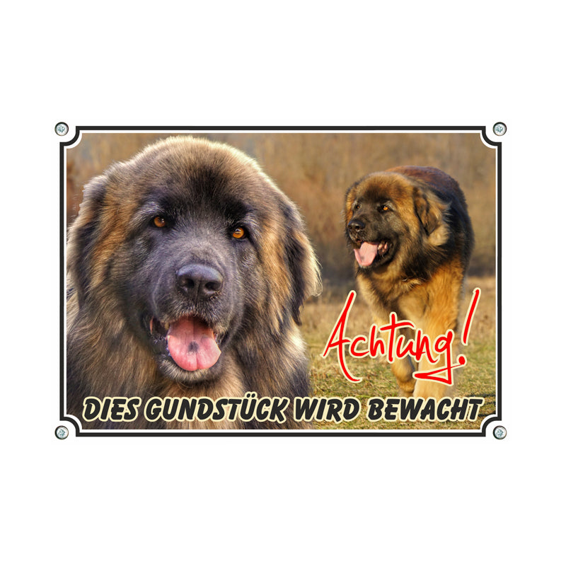Leonberger - Achtung Grundstück wird bewacht