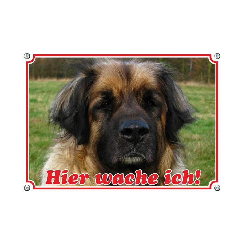 Leonberger - Hier wache ich