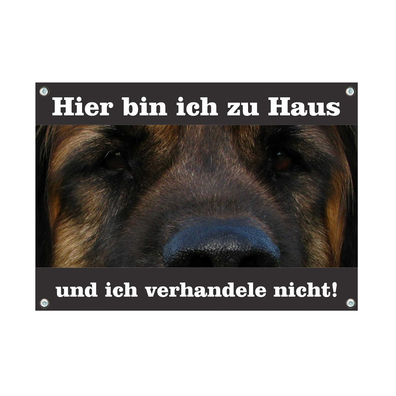 Leonberger - Hier bin ich zu Haus