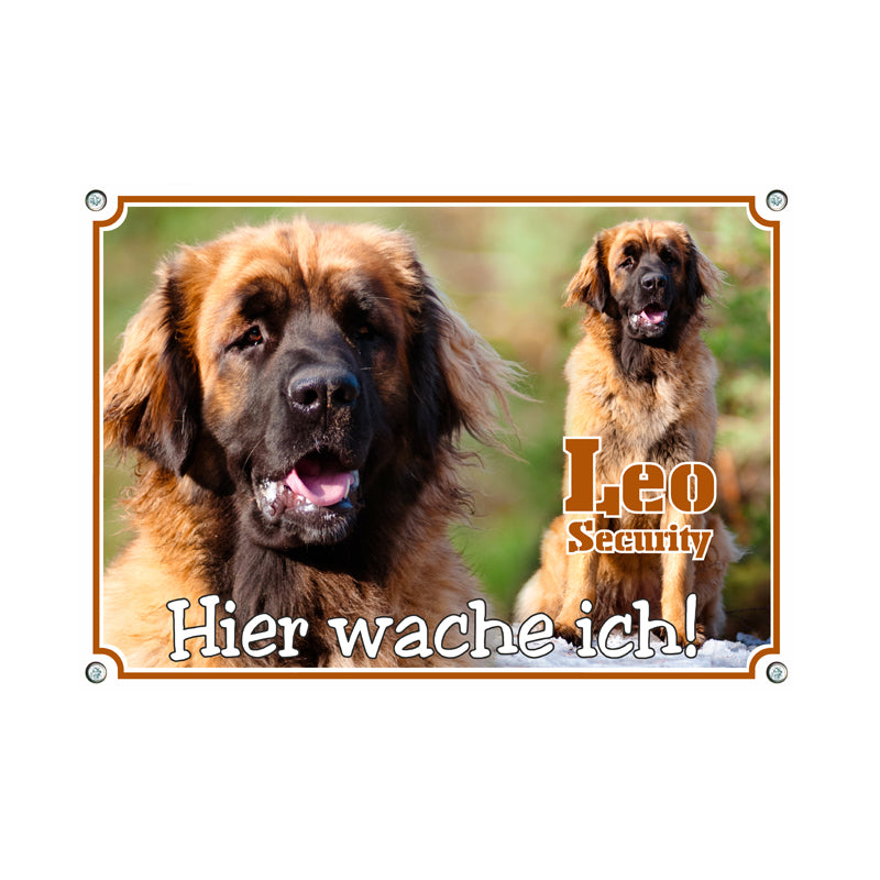 Dein Wunschbild