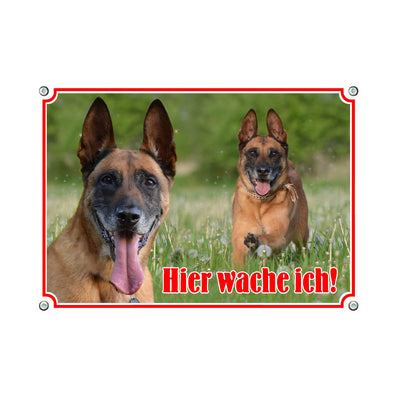 Malinois - Hier wache ich – Hundeschild aus Aluminium