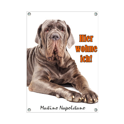 Mastino Napolitano - Hier wohne ich – Hundeschild aus Aluminium