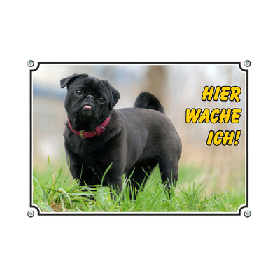 Mops - Hier wache ich – Hundeschild aus Aluminium