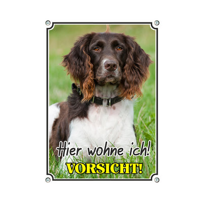 Münsterländer - Vorsicht – Hundeschild aus Aluminium