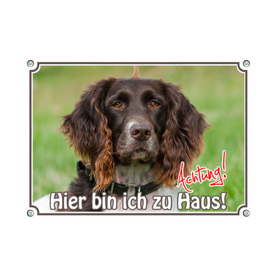 Münsterländer - Hier bin ich Zuhaus – Hundeschild aus Aluminium
