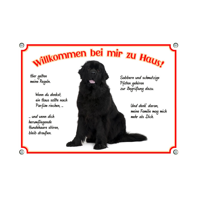 Neufundländer - Willkommen