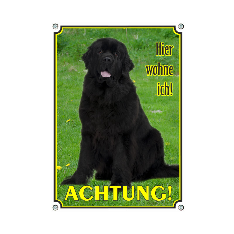 Neufundländer - Achtung hier wohne ich