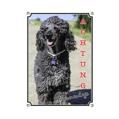 Pudel - Achtung – Hundeschild aus Aluminium