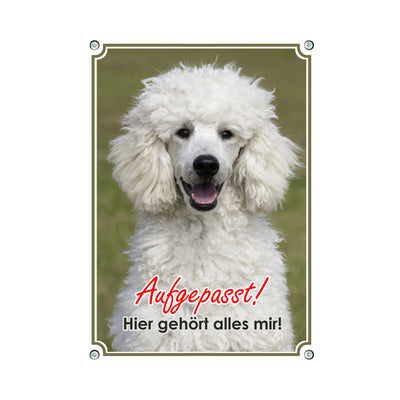 Pudel - Aufgepasst – Hundeschild aus Aluminium
