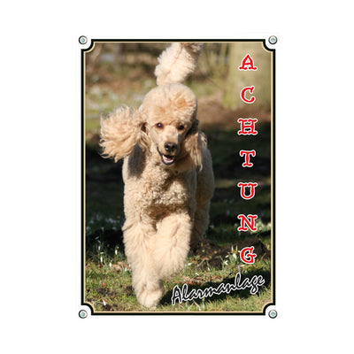 Pudel - Achtung B – Hundeschild aus Aluminium