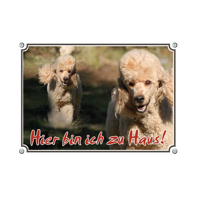 Pudel - Hier bin ich zu Haus – Hundeschild aus Aluminium