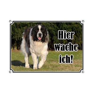 Pyrenäen Mastiff - Hier wache ich – Hundeschild aus Aluminium
