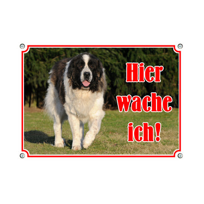 Pyrenäen Mastiff - Hier wache ich B – Hundeschild aus Aluminium