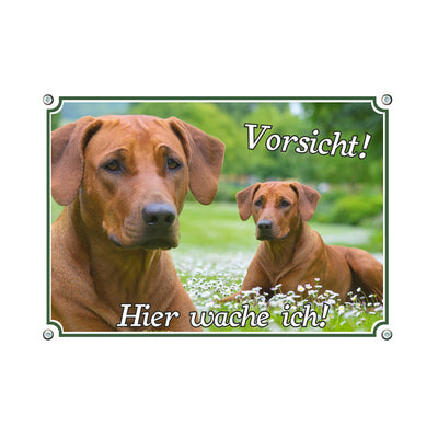 Rhodesian Ridgeback - Vorsicht - Hier wache ich – Hundeschild aus Aluminium