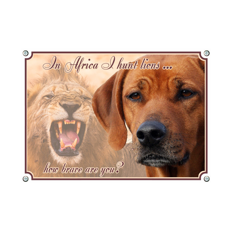 Rhodesian Ridgeback - How brave are you
