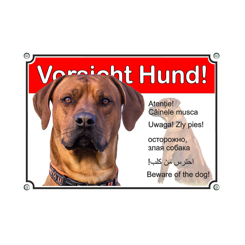 Rhodesian Ridgeback - Vorsicht Hund