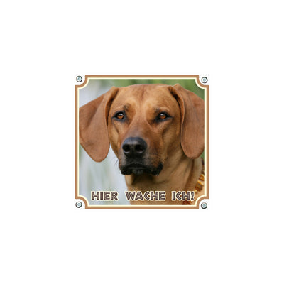 Rhodesian Ridgeback - Hier wache ich – Hundeschild aus Aluminium