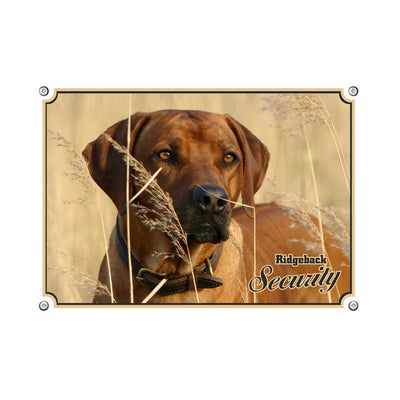 Rhodesian Ridgeback - Security – Hundeschild aus Aluminium