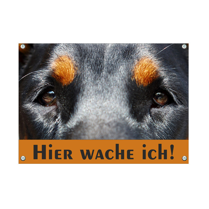 Rottweiler - Hier wache ich