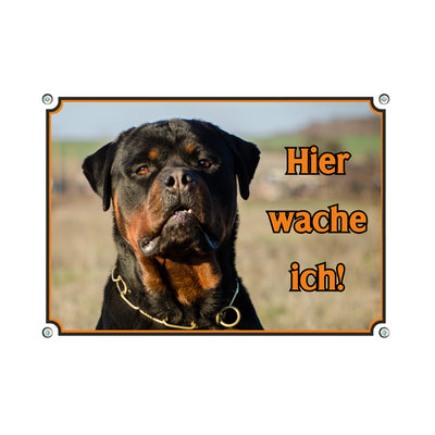 Rottweiler - Hier – Hundeschild aus Aluminium