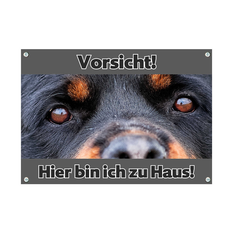 Rottweiler - Hier bin ich zu Haus