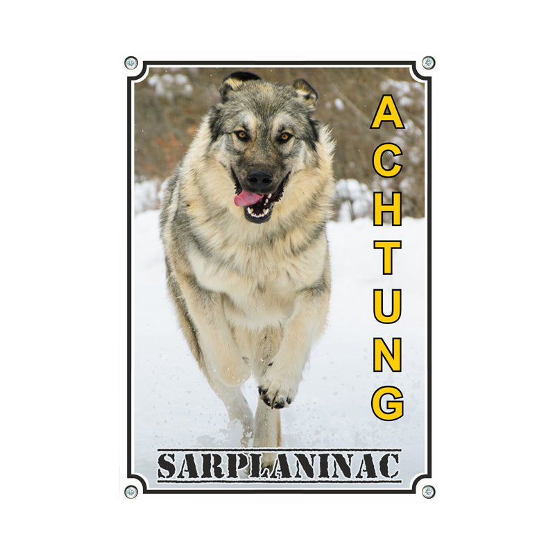Sarplaninac - Achtung