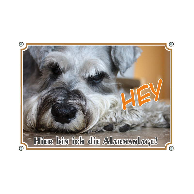Schnauzer - Hey Alarmanlage