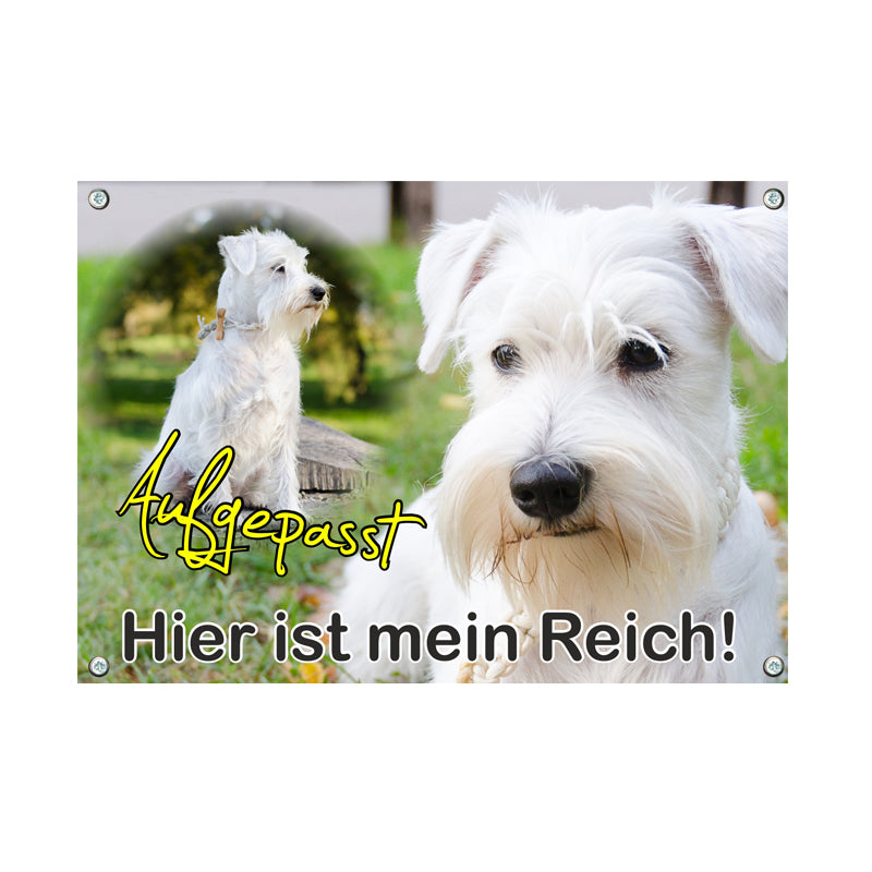 Schnauzer - Hier ist mein Reich