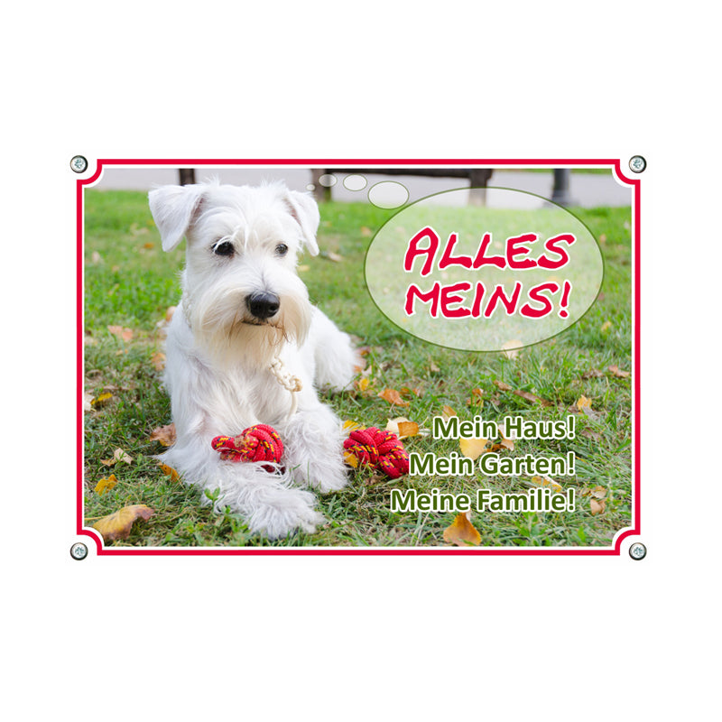 Schnauzer - Alles meins