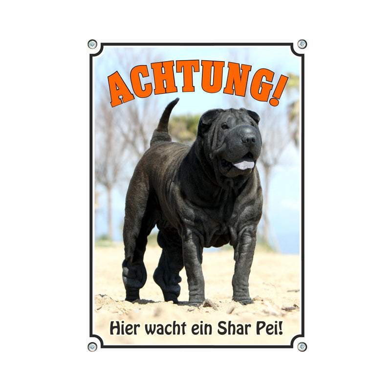 Shar Pei - Achtung hier wacht