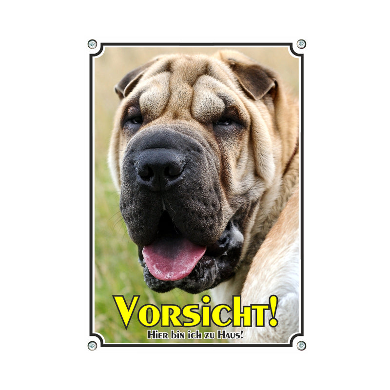 Shar Pei - Vorsicht hier bin ich