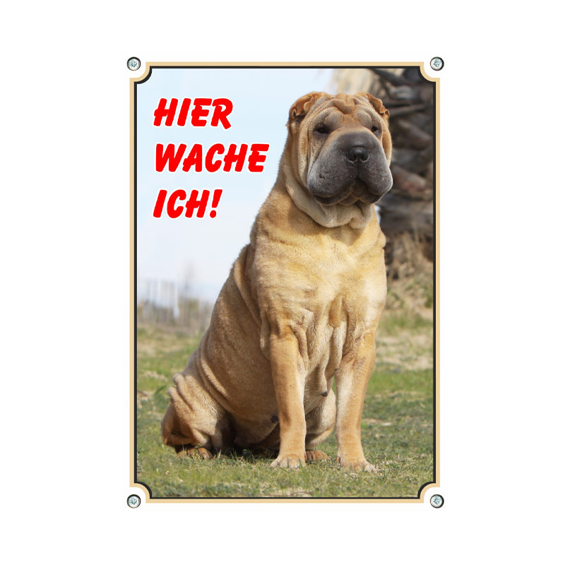 Shar Pei - Hier wache ich