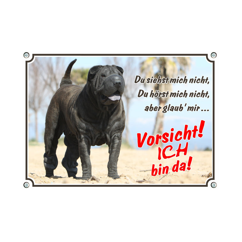 Shar Pei - Vorsicht ich bin da