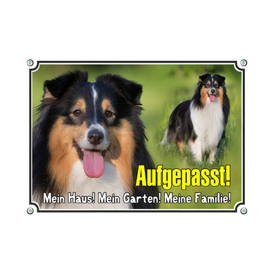 Shetland Sheepdog (Sheltie) - Aufgepasst – Hundeschild aus Aluminium